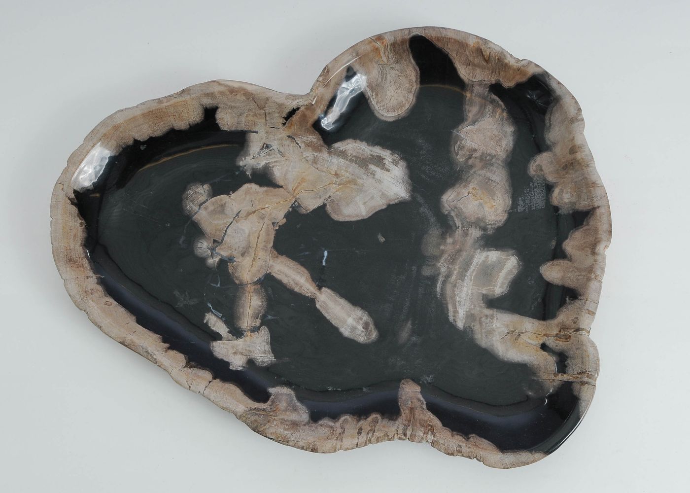 Bord versteend hout 60161