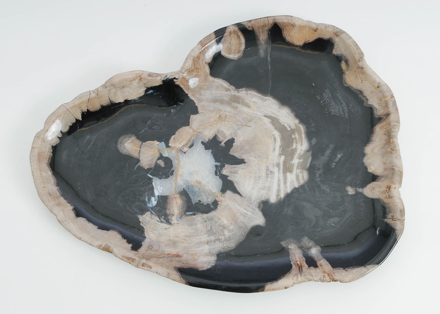 Bord versteend hout 60162