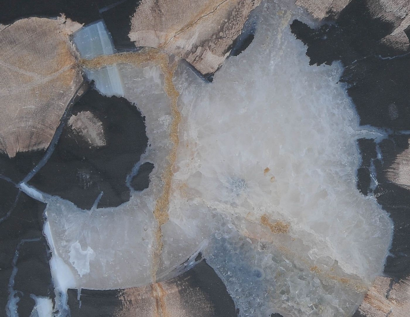 Bord versteend hout 60162 - Afbeelding 3