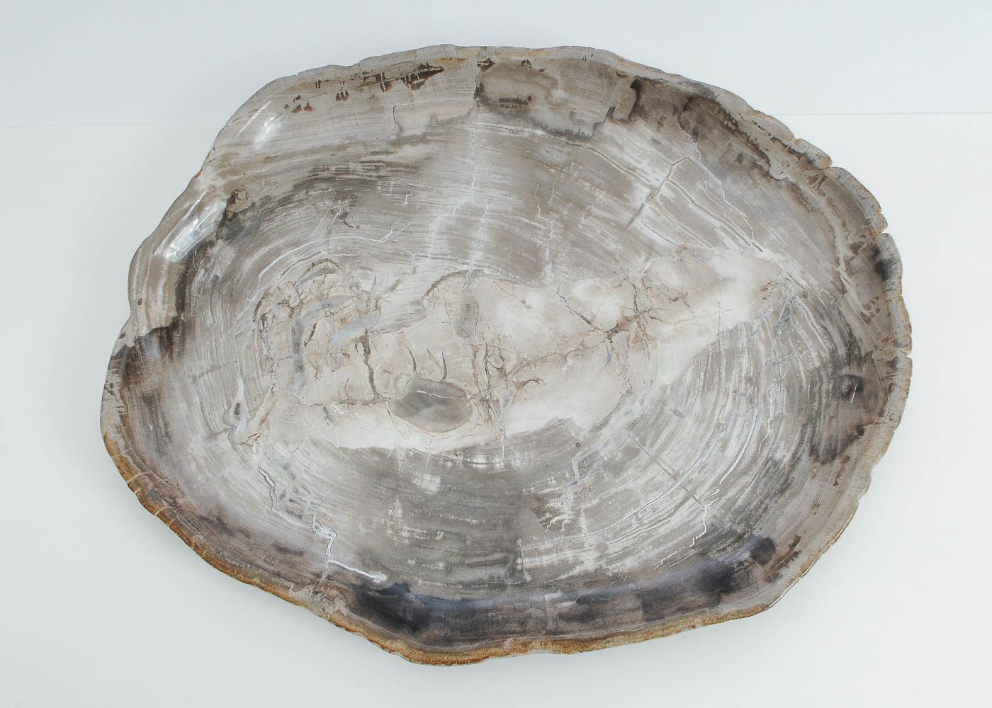 Bord versteend hout 60163