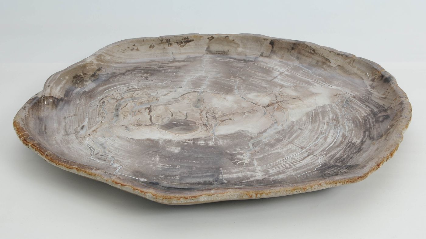 Bord versteend hout 60163 - Afbeelding 3