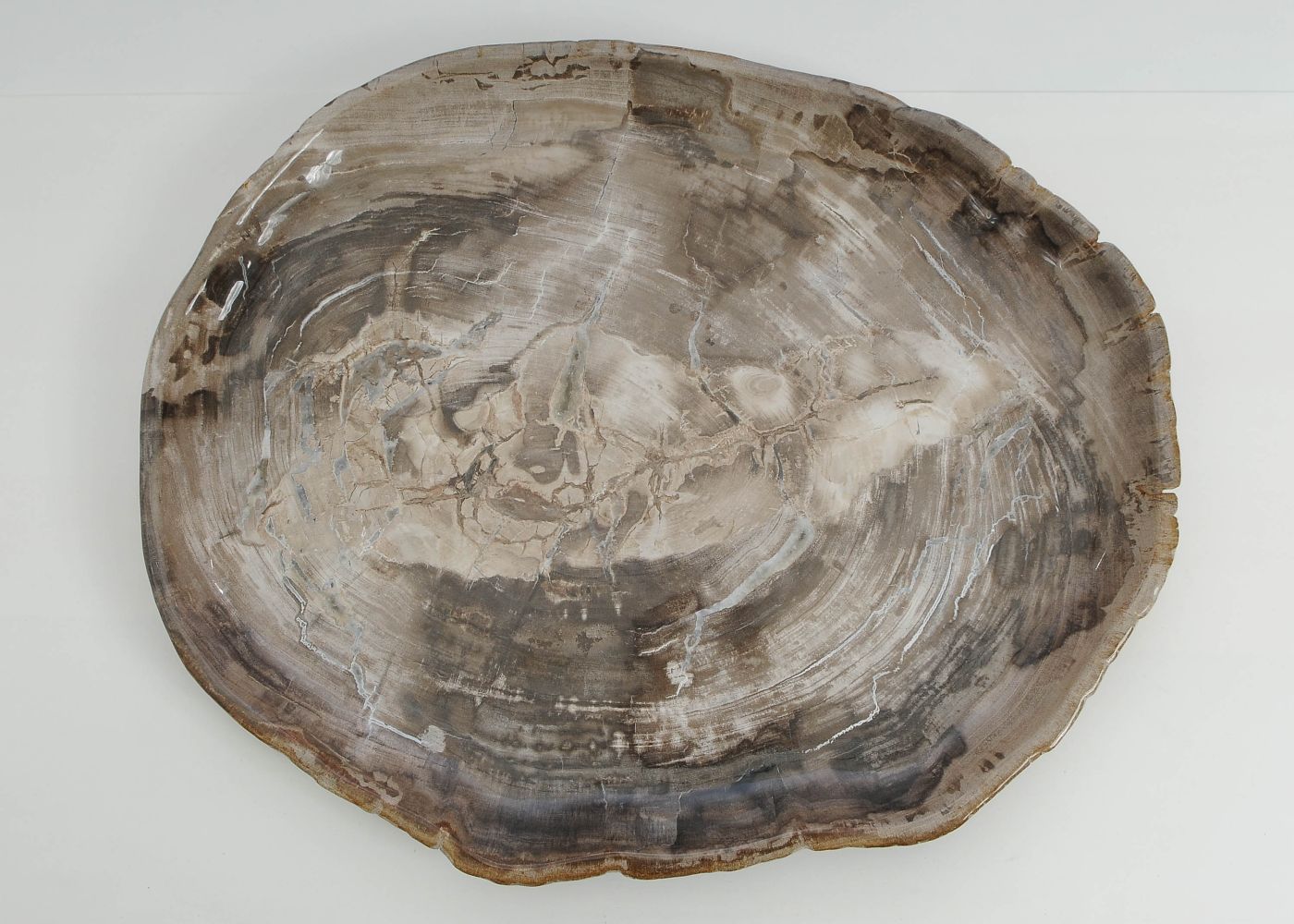 Bord versteend hout 60164