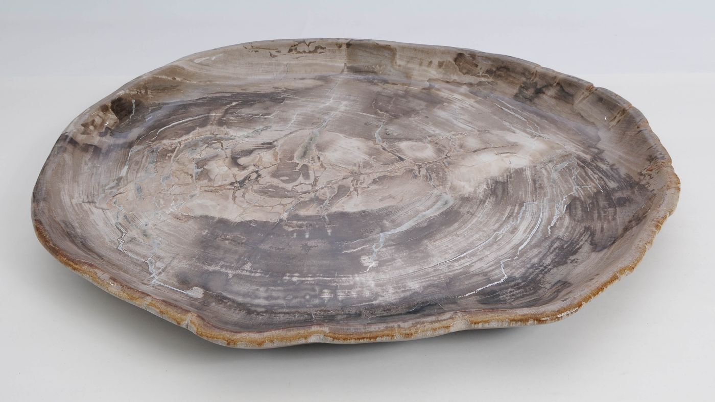 Bord versteend hout 60164 - Afbeelding 3