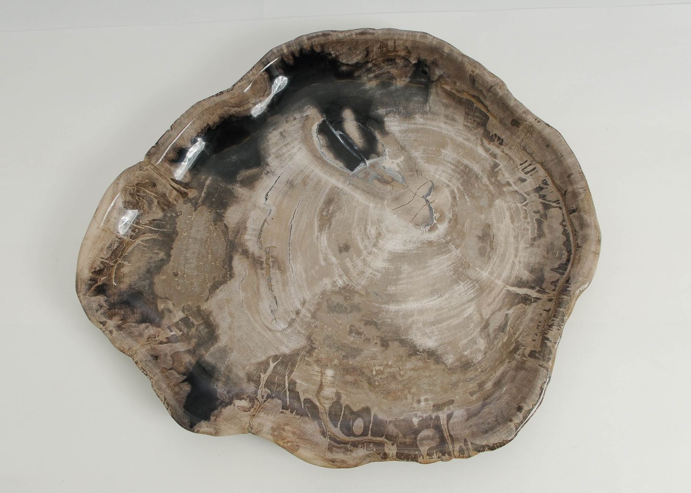 Bord versteend hout 60167