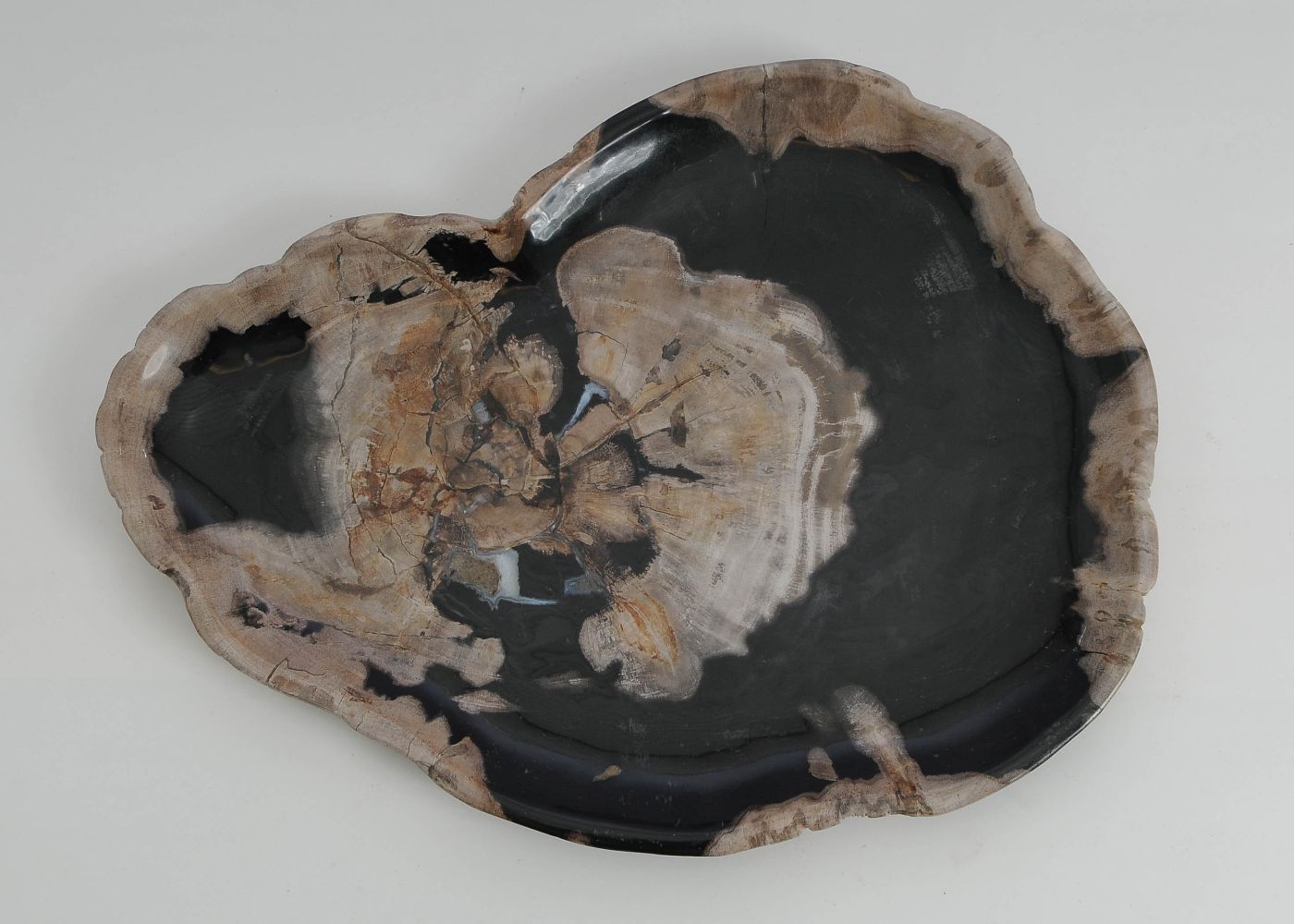 Bord versteend hout 60168