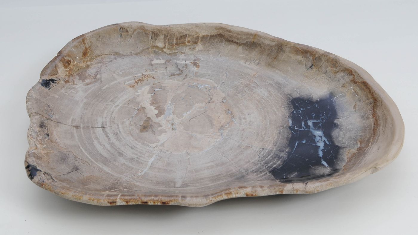 Bord versteend hout 60170 - Afbeelding 3