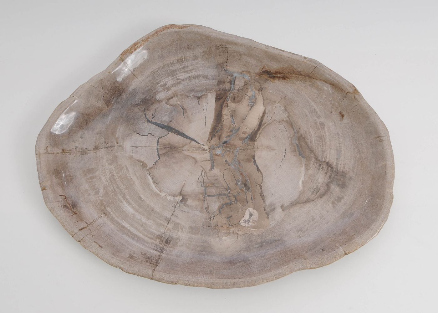 Bord versteend hout 60171