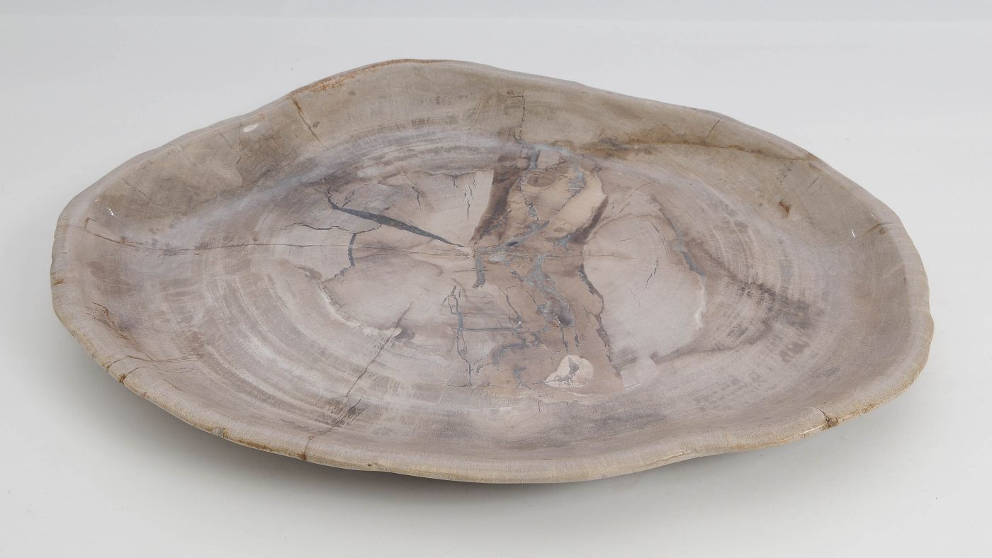 Bord versteend hout 60171 - Afbeelding 3