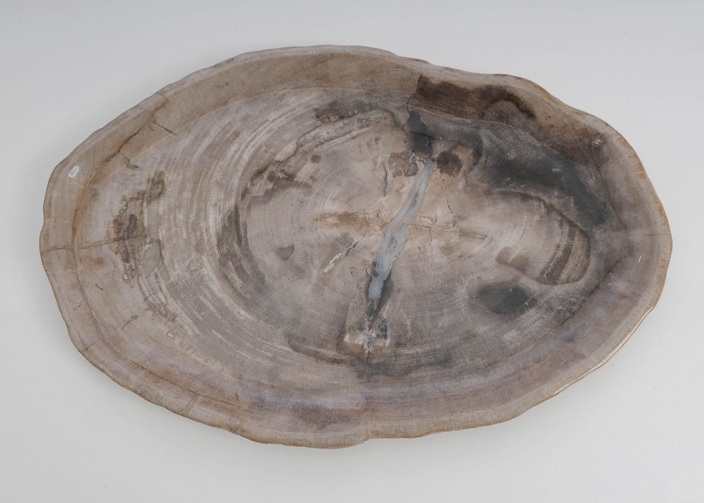 Bord versteend hout 60172