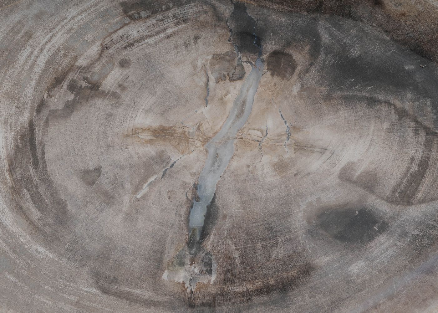 Bord versteend hout 60172 - Afbeelding 2