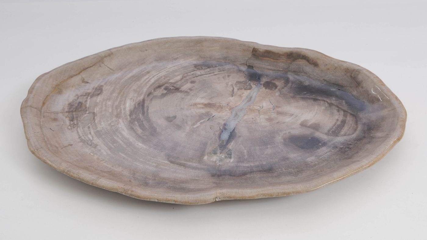 Bord versteend hout 60172 - Afbeelding 3