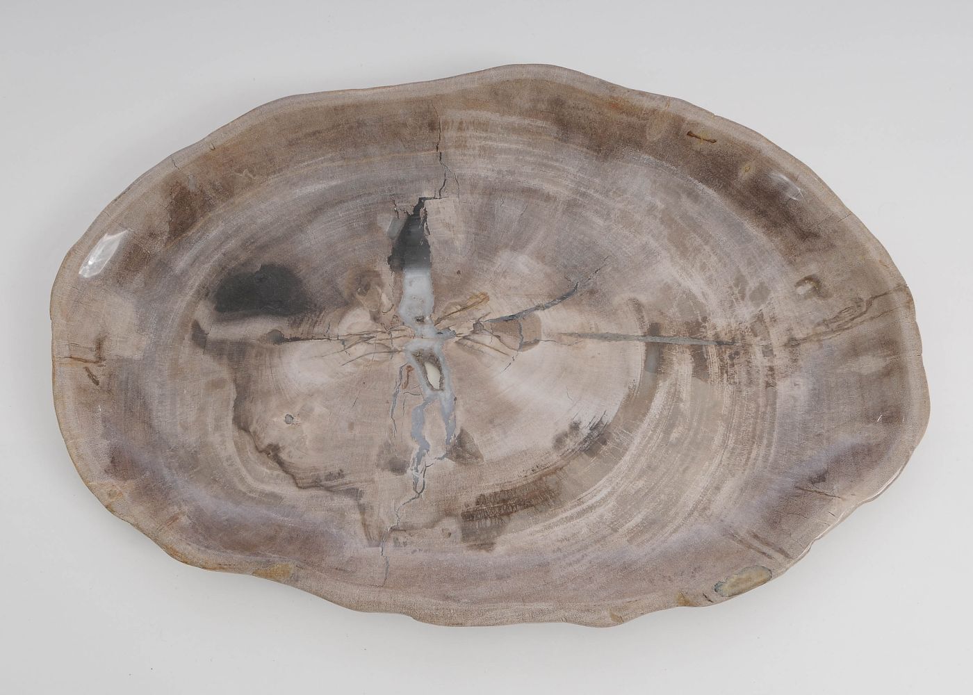 Bord versteend hout 60173