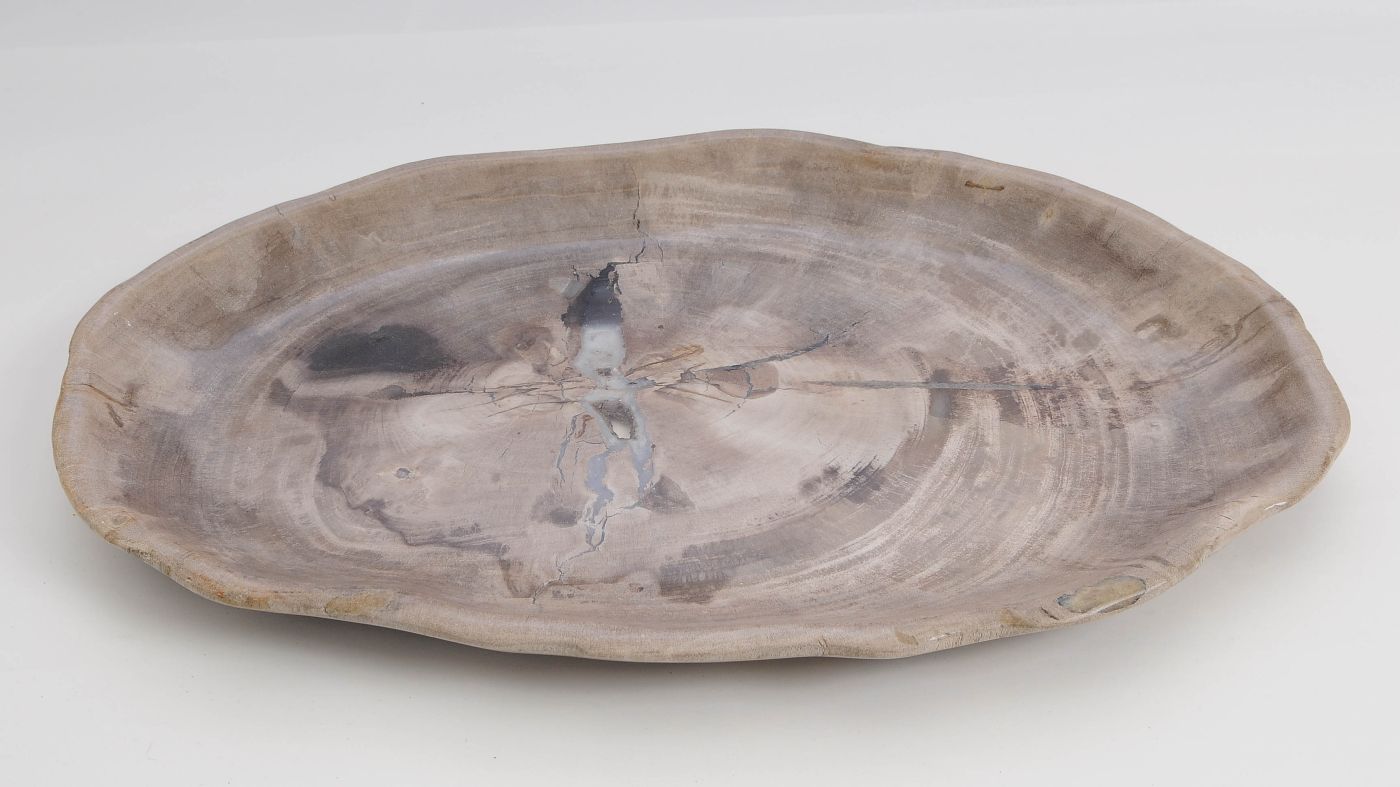 Bord versteend hout 60173 - Afbeelding 3