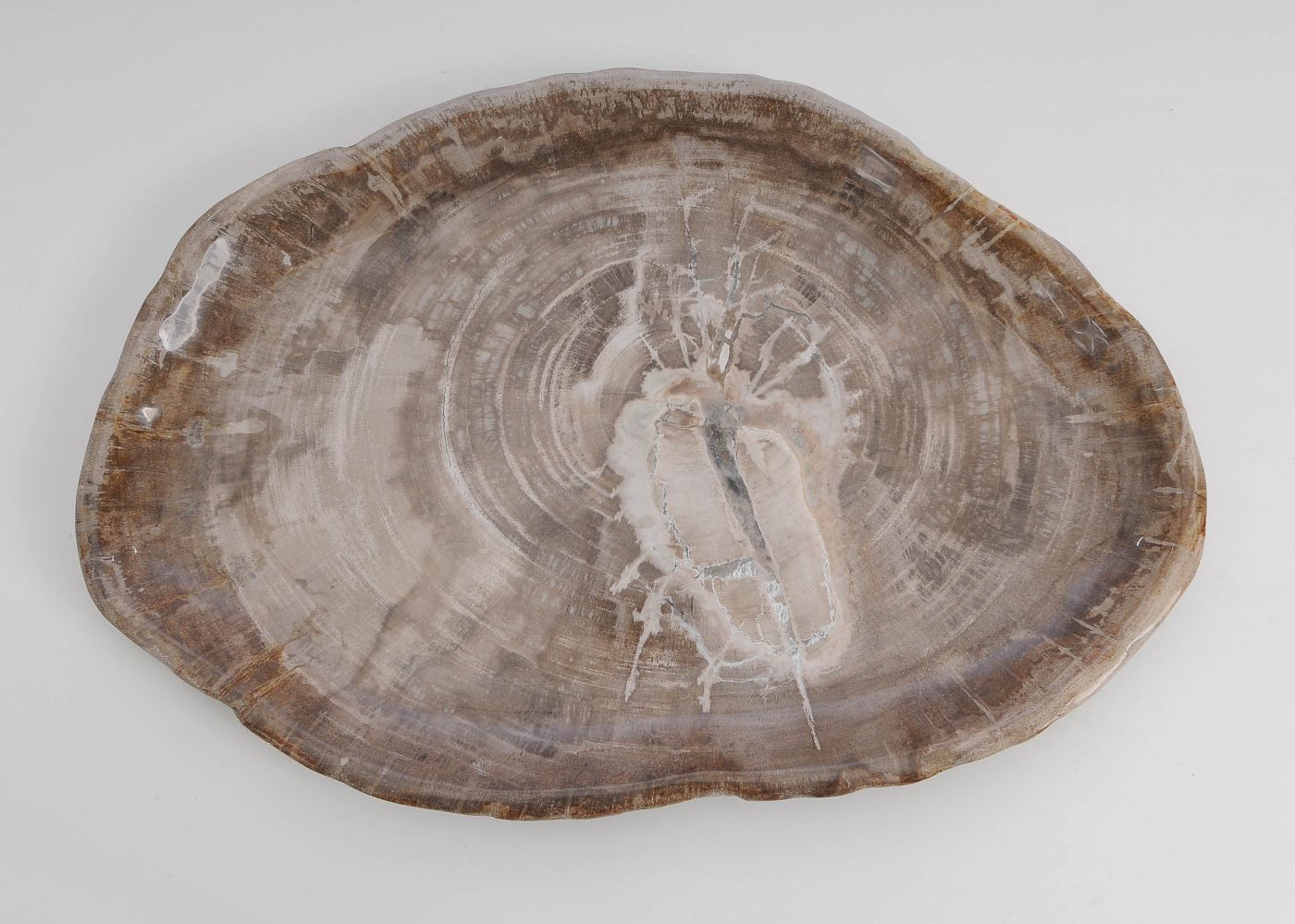 Petrified wood plate 60174