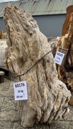 Grafsteen versteend hout 60176