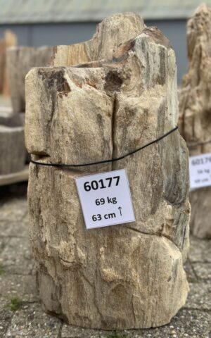 Grafsteen versteend hout 60177