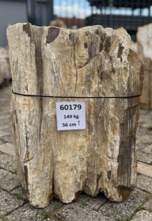 Grafsteen versteend hout 60179