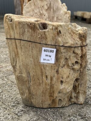 Grafsteen versteend hout 60180