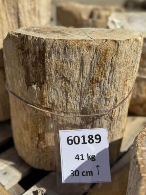 Grafsteen versteend hout 60189