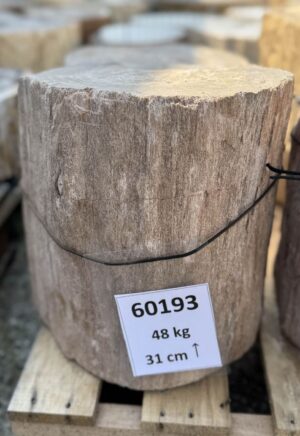 Grafsteen versteend hout 60193