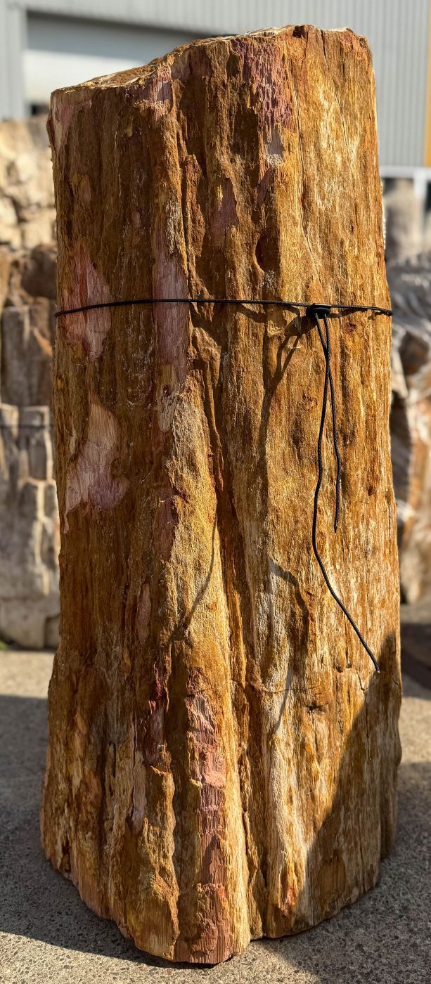 Grafsteen versteend hout 60206 - Afbeelding 3