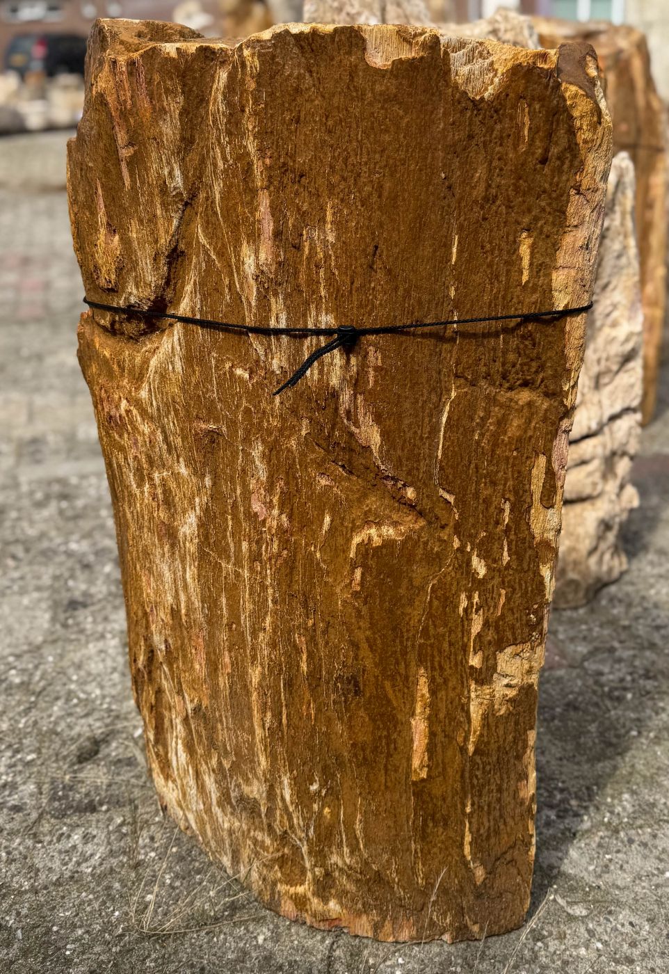 Grafsteen versteend hout 60209 - Afbeelding 3