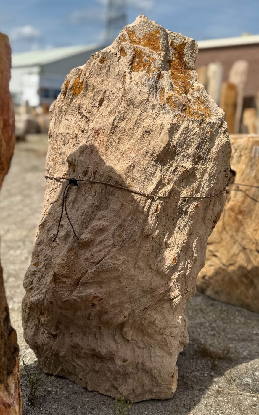 Grafsteen versteend hout 60210 - Afbeelding 3