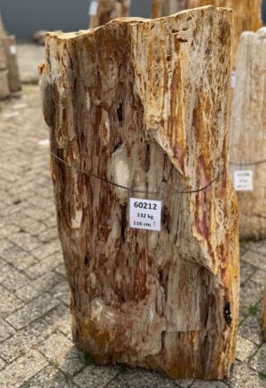 Grafsteen versteend hout 60212