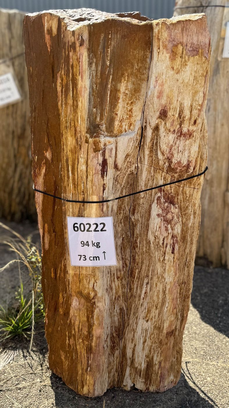 Grabstein versteinertes Holz 60222