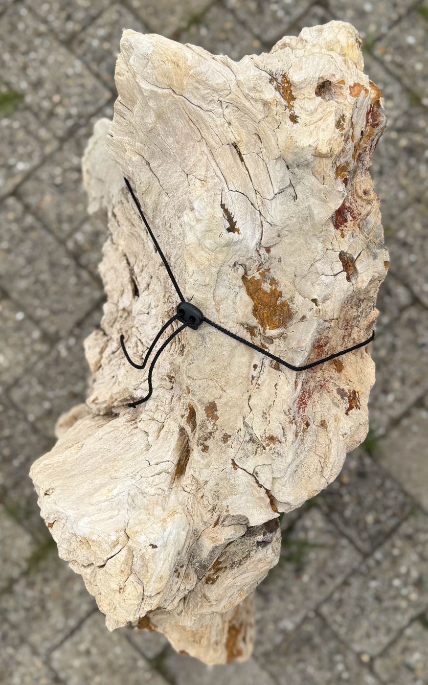 Grafsteen versteend hout 60225 - Afbeelding 2