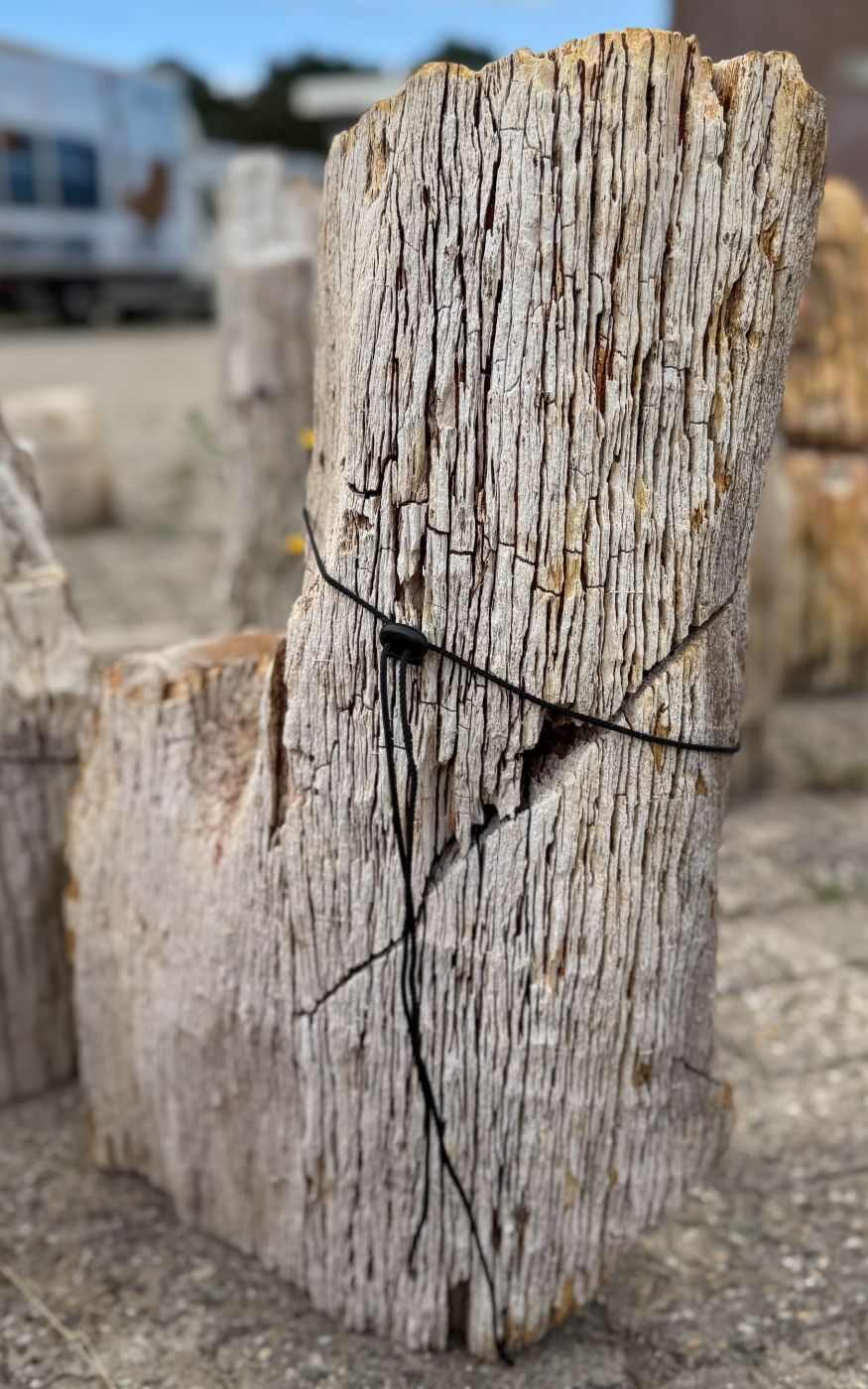 Grafsteen versteend hout 60231 - Afbeelding 3