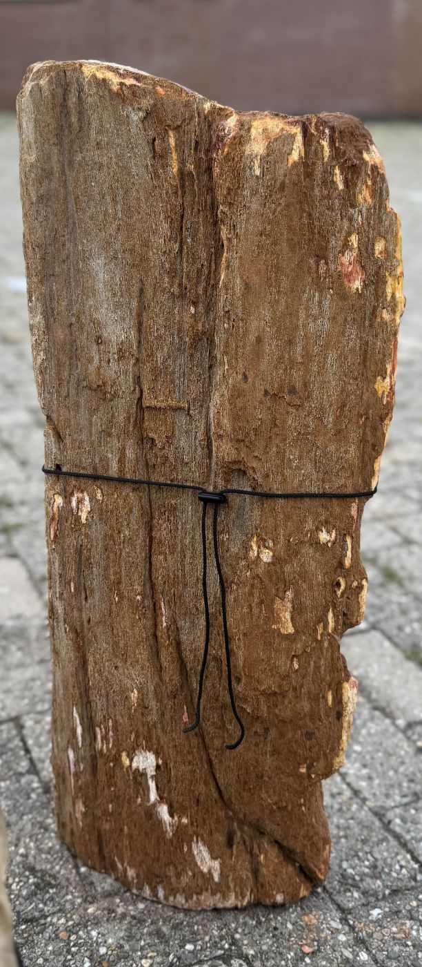 Grafsteen versteend hout 60232 - Afbeelding 3