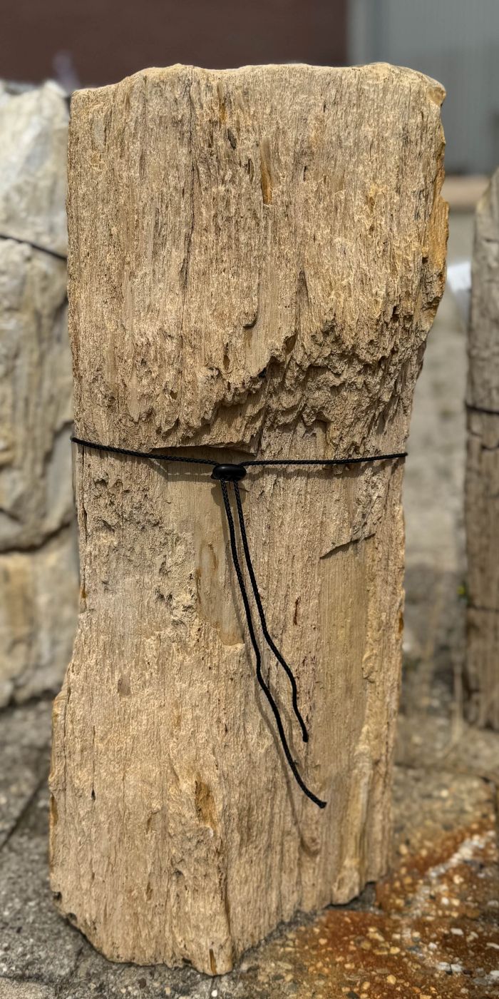 Grafsteen versteend hout 60237 - Afbeelding 3