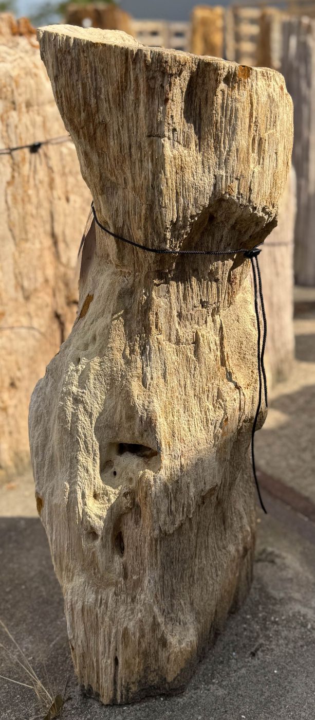 Grafsteen versteend hout 60241 - Afbeelding 3