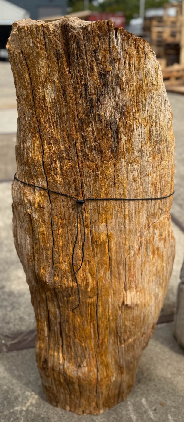 Grafsteen versteend hout 60245 - Afbeelding 3