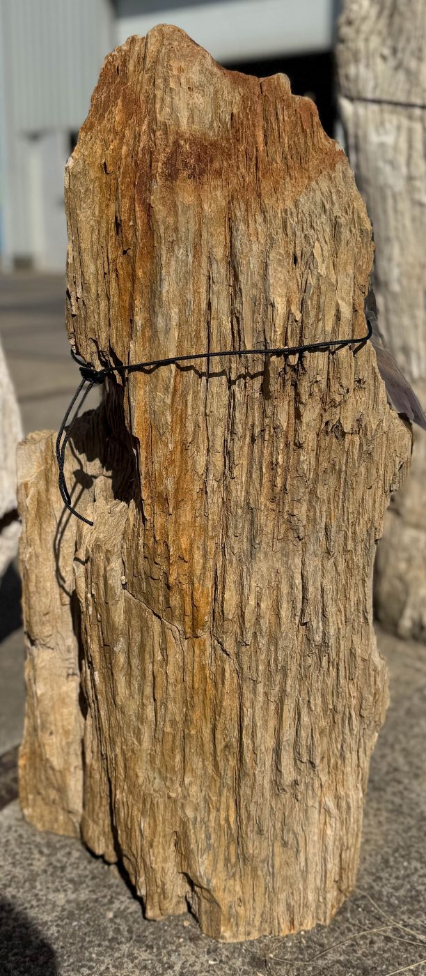 Grafsteen versteend hout 60252 - Afbeelding 3