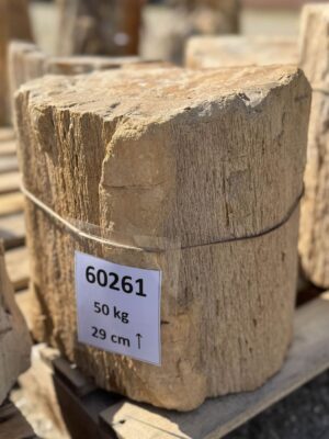 Grafsteen versteend hout 60261
