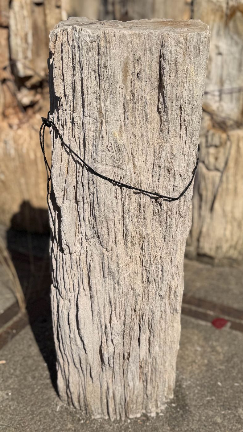 Grafsteen versteend hout 60264 - Afbeelding 3