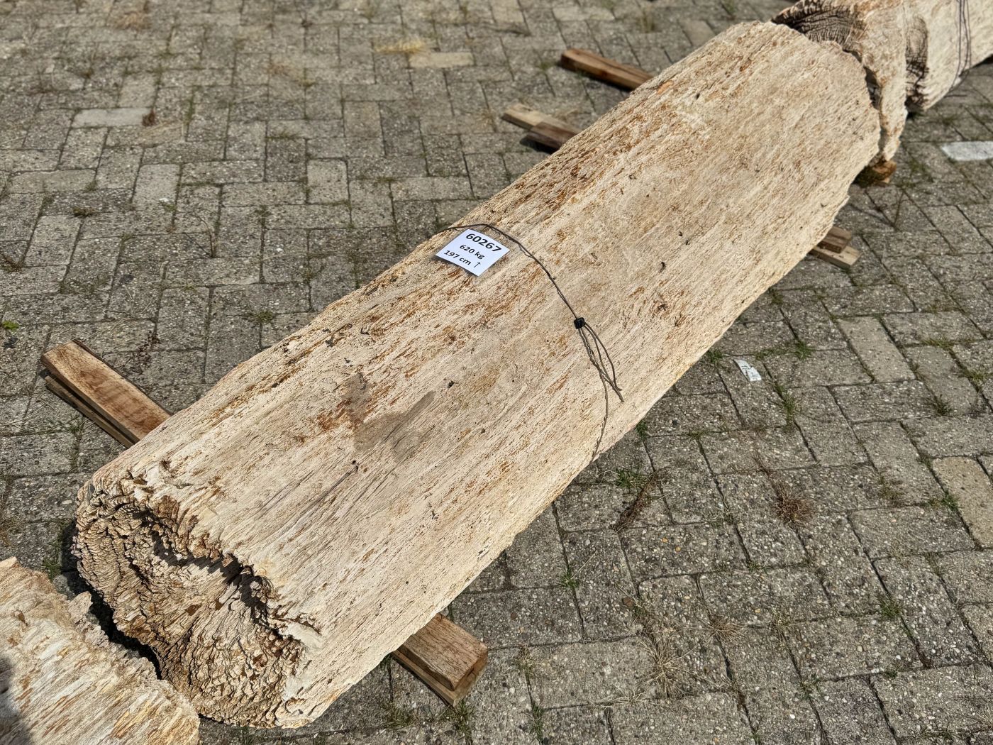 Grafsteen versteend hout 60267 - Afbeelding 2