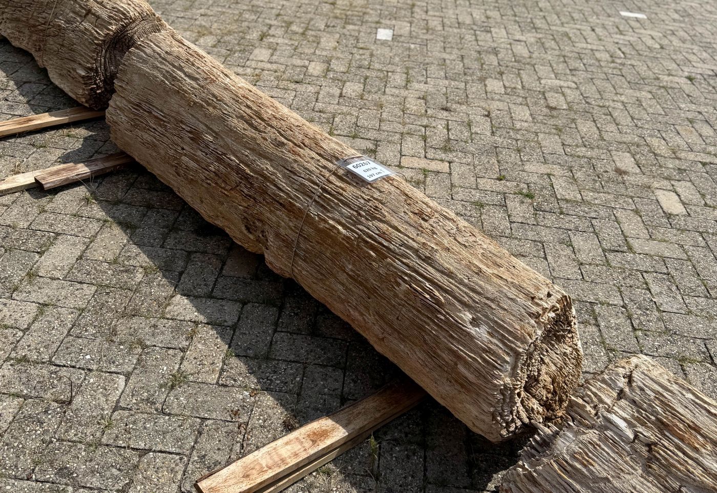 Grafsteen versteend hout 60267 - Afbeelding 3