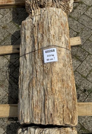 Grafsteen versteend hout 60268