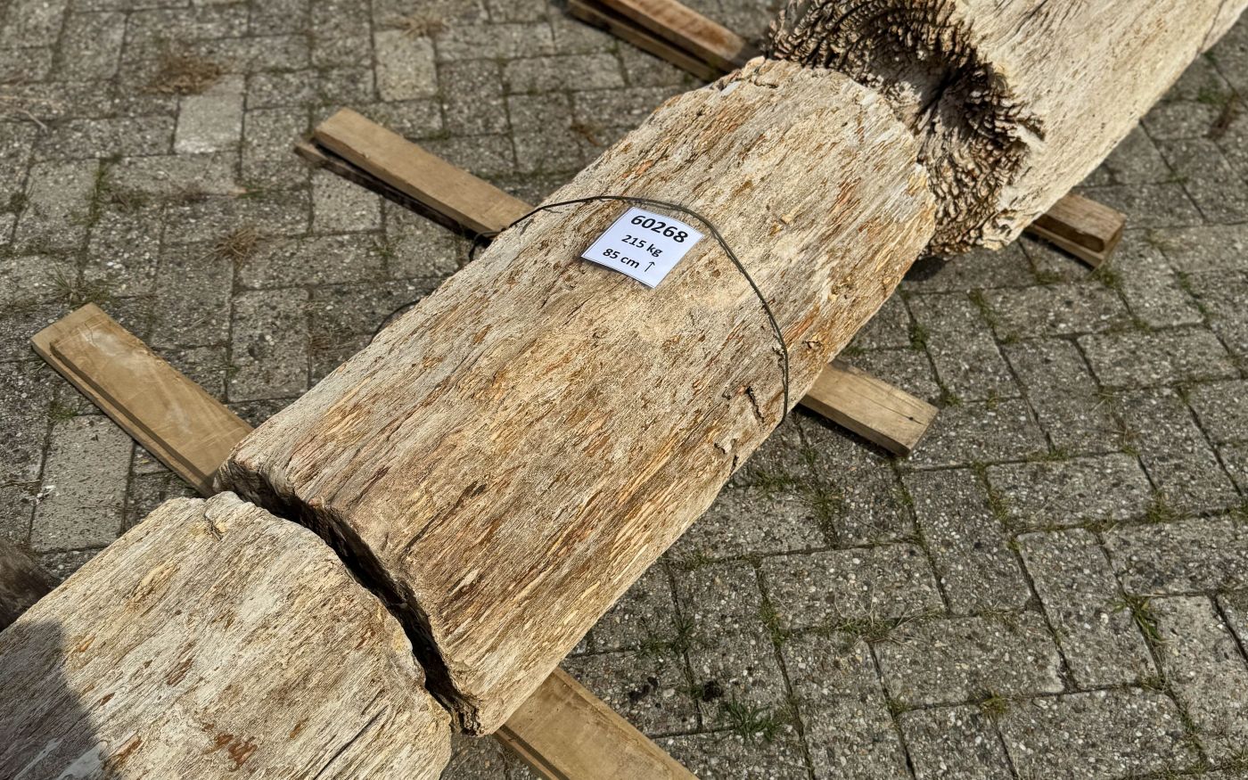 Grafsteen versteend hout 60268 - Afbeelding 2