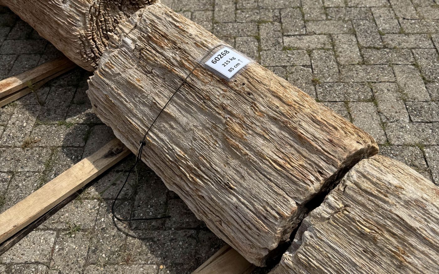 Grafsteen versteend hout 60268 - Afbeelding 3