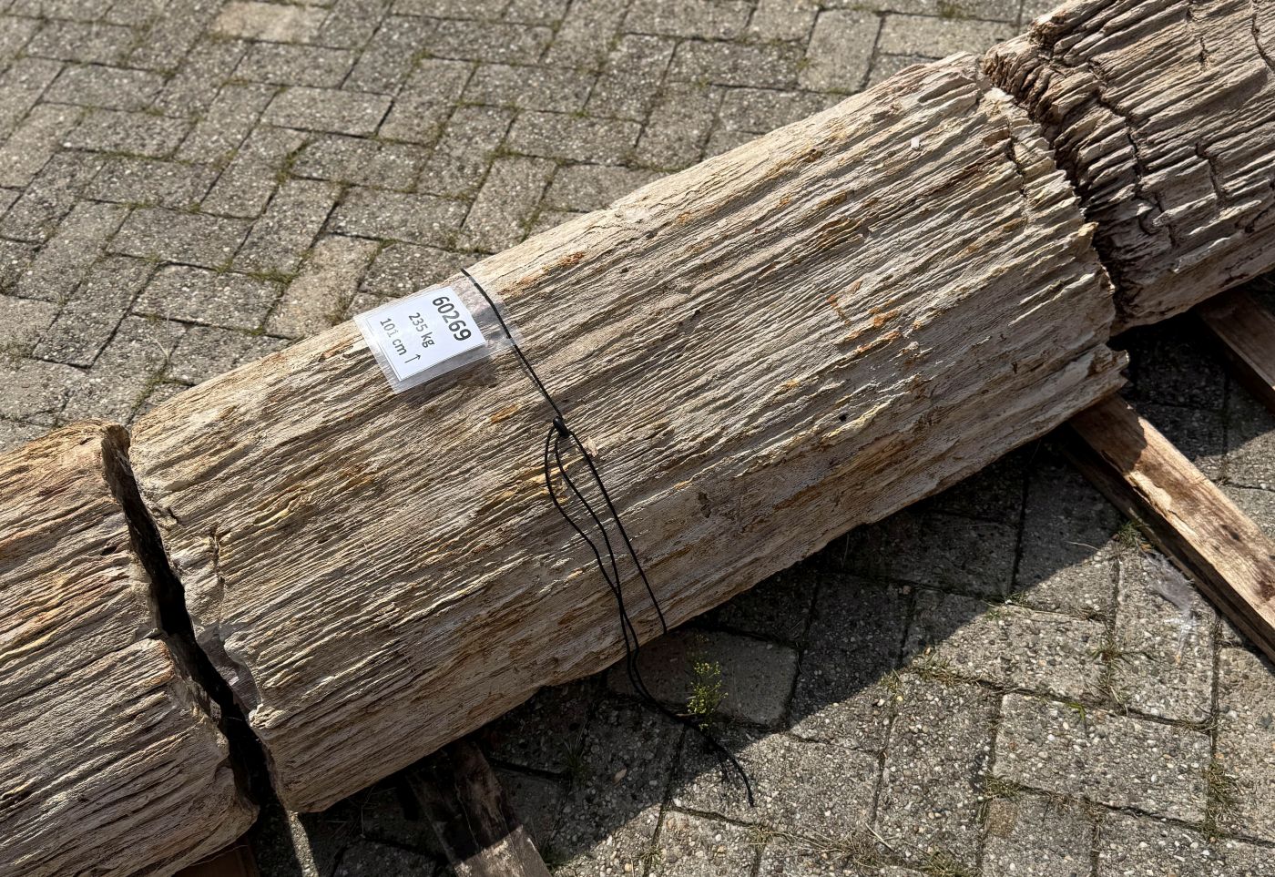 Grafsteen versteend hout 60269 - Afbeelding 3