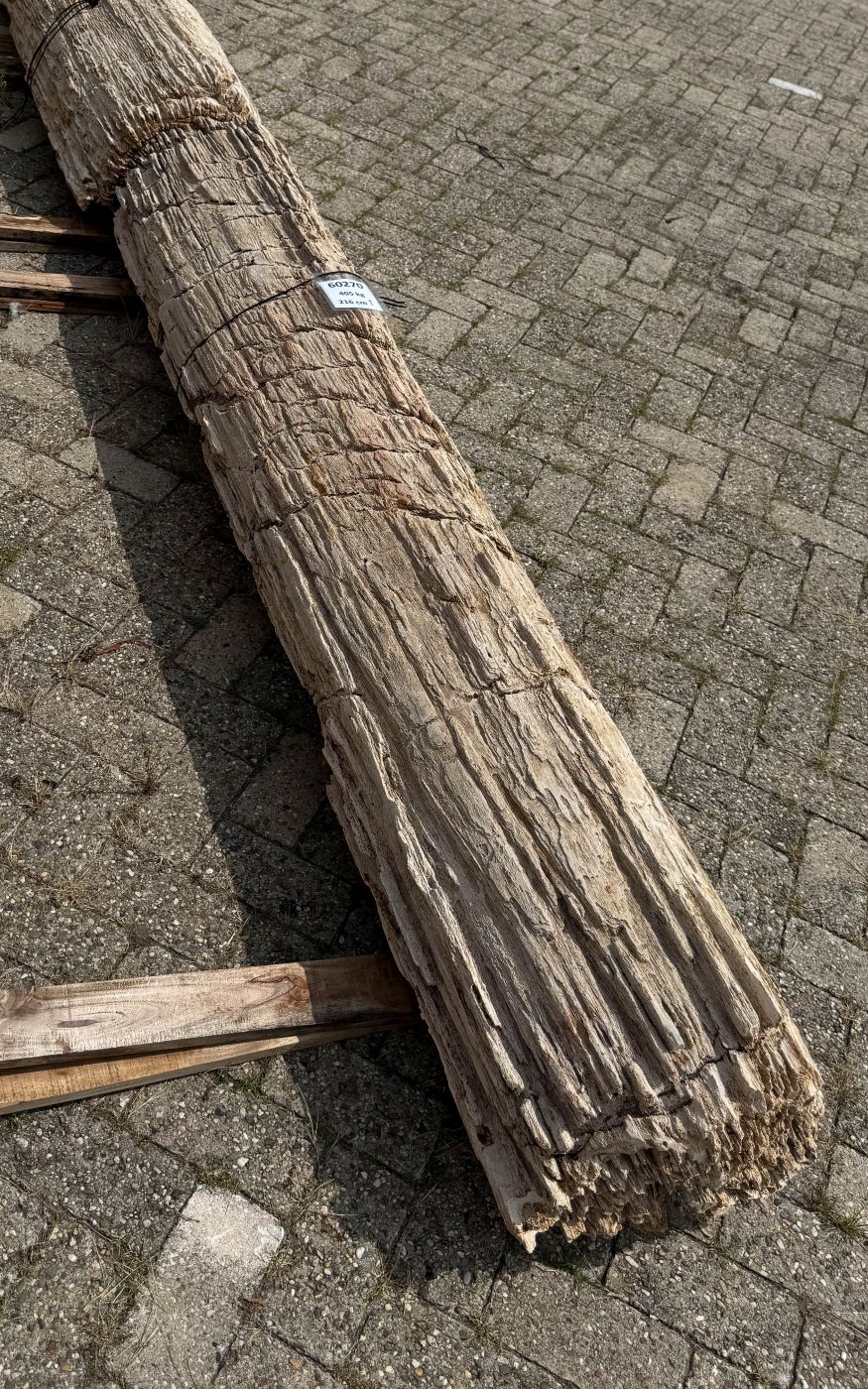 Grafsteen versteend hout 60270 - Afbeelding 3