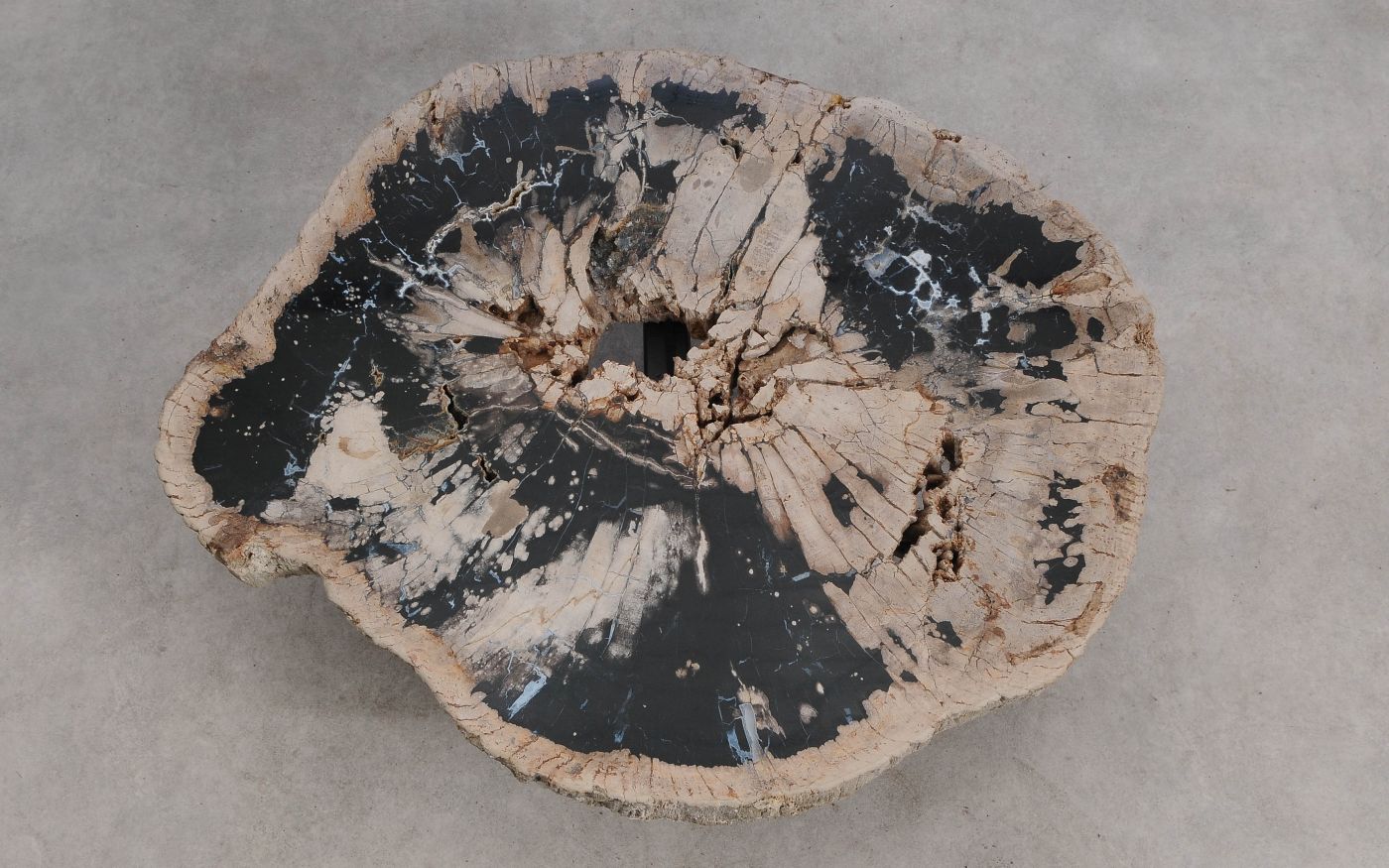 Salontafel versteend hout 60313