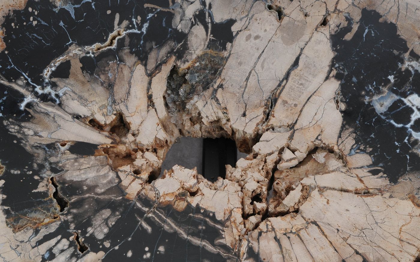 Salontafel versteend hout 60313 - Afbeelding 2