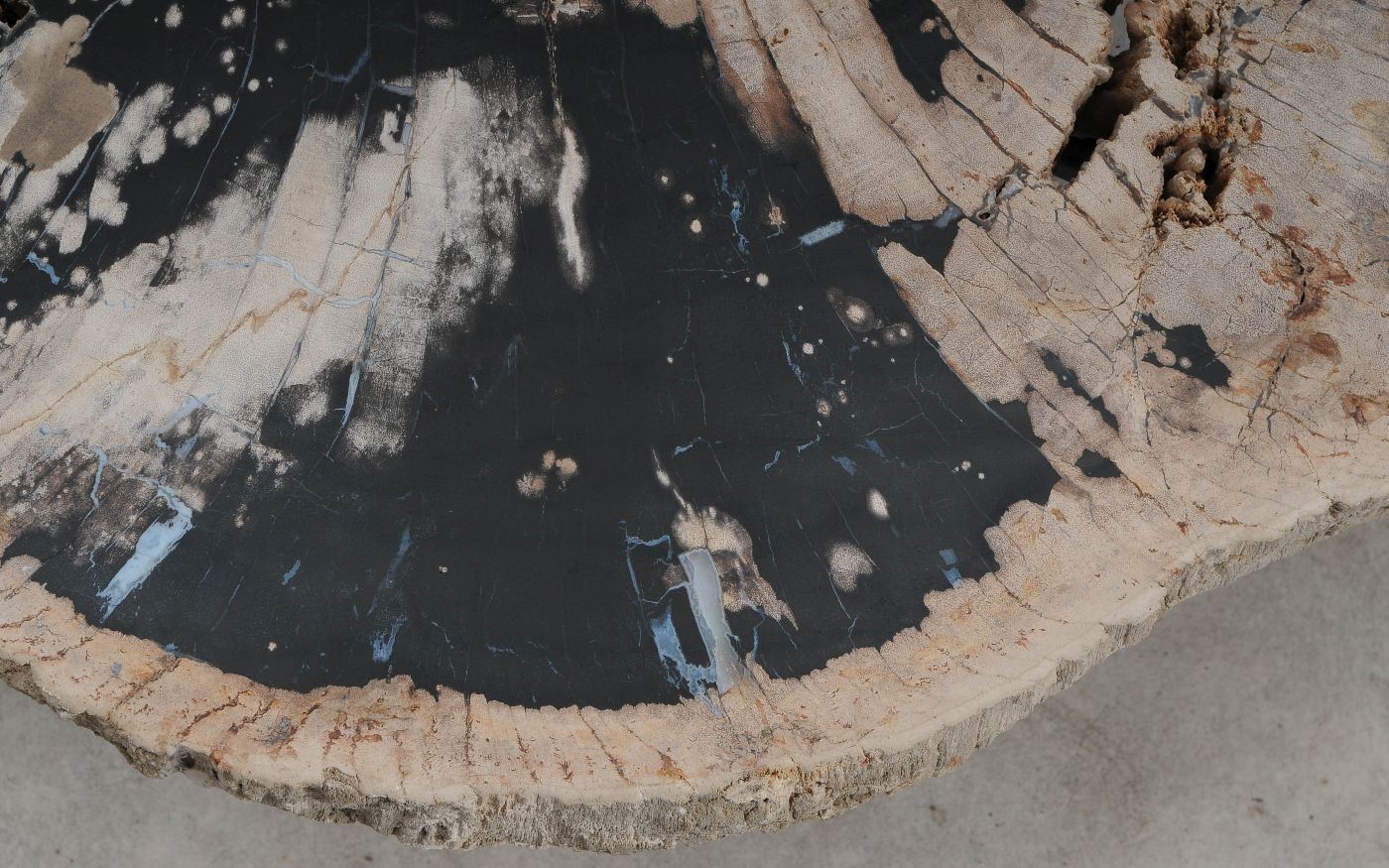 Salontafel versteend hout 60313 - Afbeelding 3