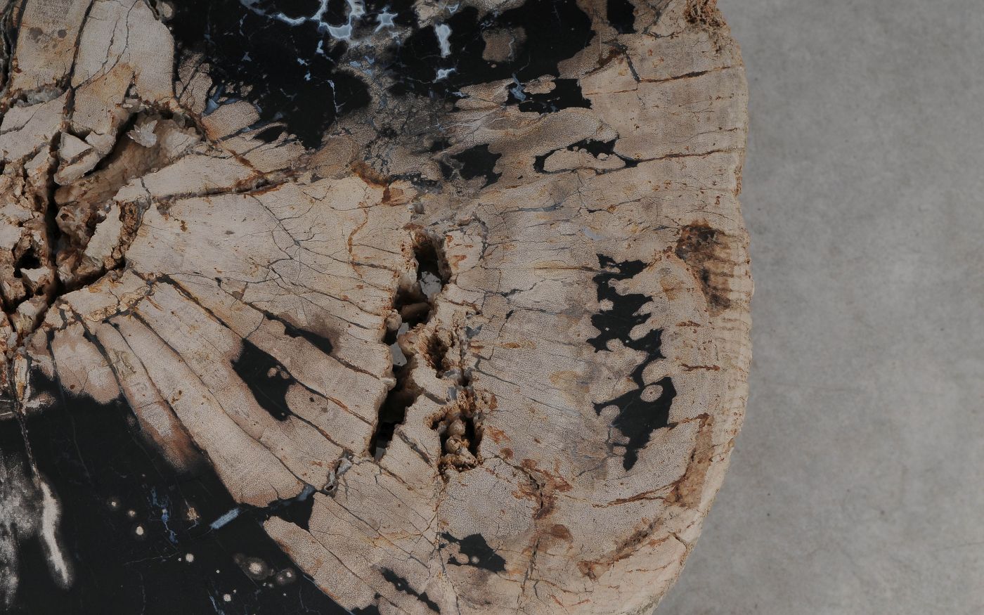 Salontafel versteend hout 60313 - Afbeelding 4