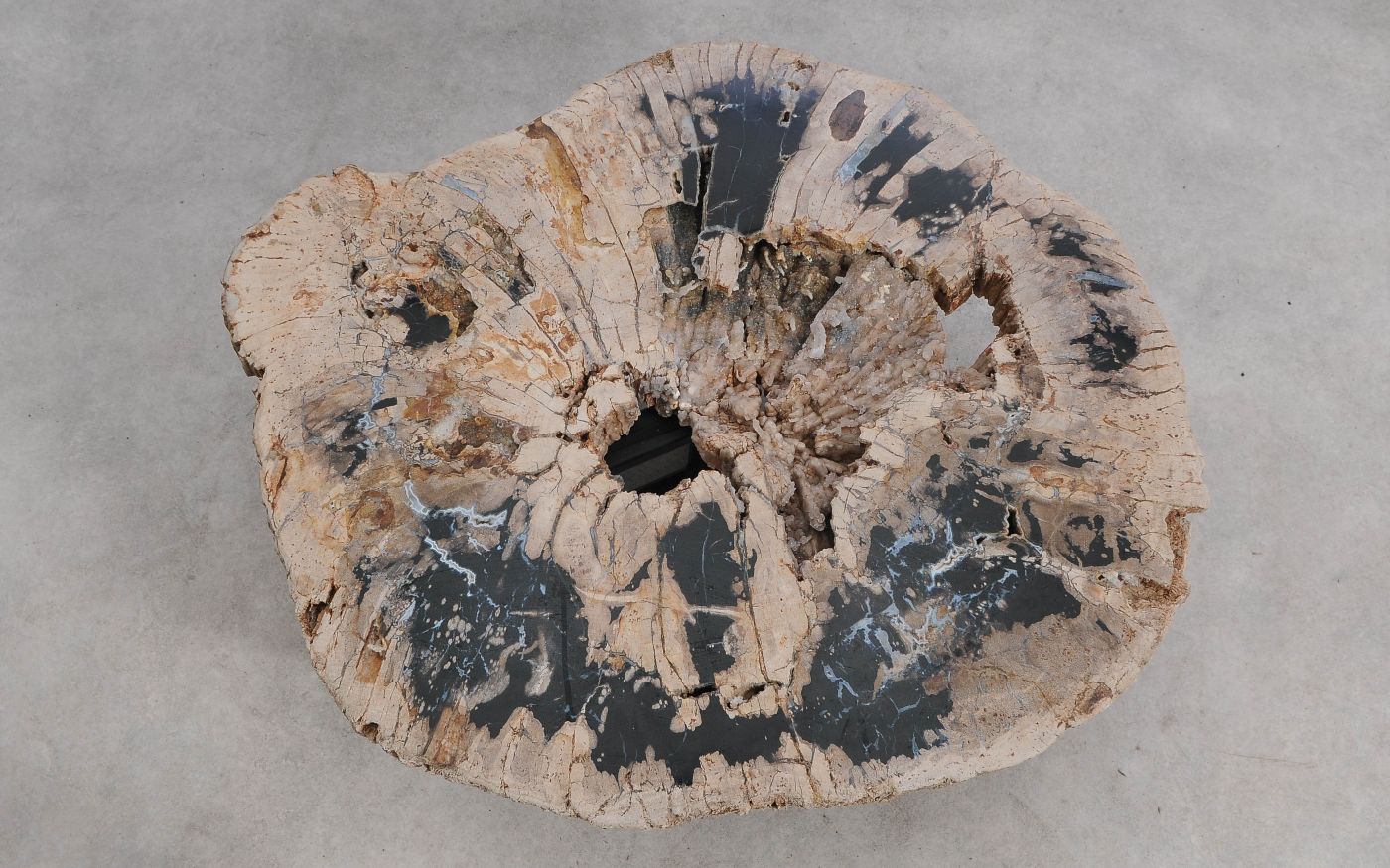 Salontafel versteend hout 60316